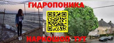ГАЛЛЮЦИНОГЕННЫЕ ГРИБЫ Новоалександровск
