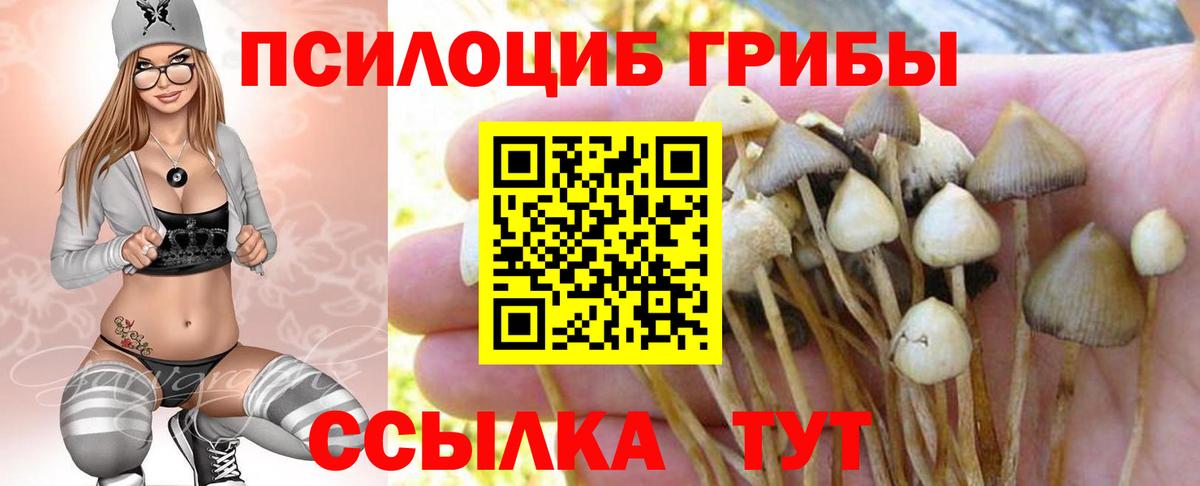 Галлюциногенные грибы MAGIC MUSHROOMS Осинники
